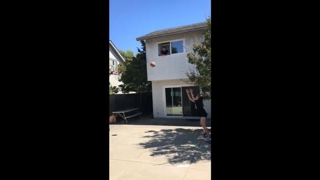 One of the siblings trying to score a basket.(Twitter/@sam_bova) One of the siblings trying to score a basket.(Twitter/@sam_bova)