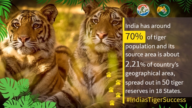 Global Tiger Day 2020: People are sharing various comments using the hashtag #IndiasTigerSuccess. (Twitter/@PIB_India) Global Tiger Day 2020: People are sharing various comments using the hashtag #IndiasTigerSuccess. (Twitter/@PIB_India)