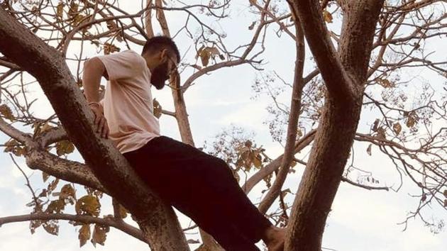 Virat Kohli on top of a tree(Twitter)
