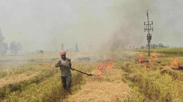 In 2019 kharif season, around 51,000 cases were reported.(HT File photo of a field being set fire) In 2019 kharif season, around 51,000 cases were reported.(HT File photo of a field being set fire)