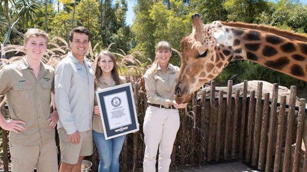 Meet The World S Tallest Giraffe Bindi Irwin Shares Happy Announcement Trending Hindustan Times