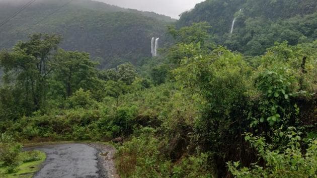 Dodamarg-Sawantwadi belt. (HT Photo) Dodamarg-Sawantwadi belt. (HT Photo)