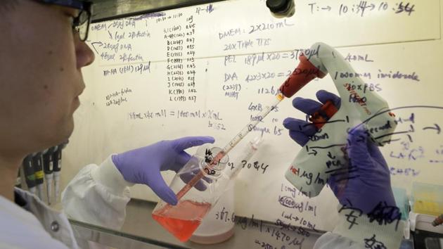 Kai Hu, a research associate transfers medium to cells, in the laboratory at Imperial College in London on Thursday.(AP Photo)