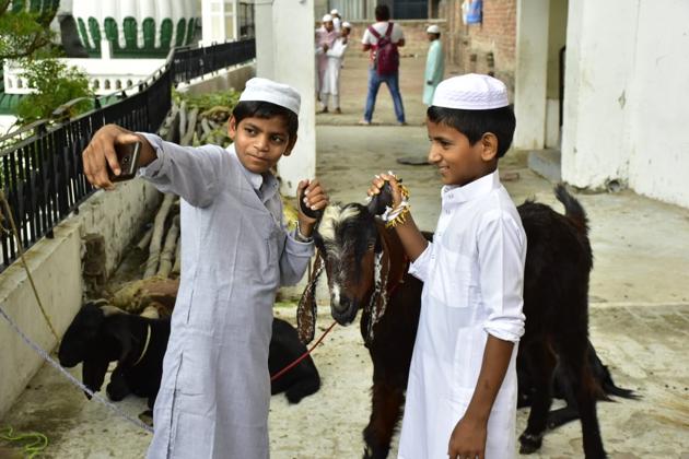 Muslim children click photos with their goats at Jama Masjid in Amritsar on the occasion of Eid-Ul-Adha on Saturday. (HT Photos)