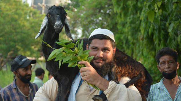 Hardly three to four traders were seen sitting inside a park behind the Manimajra cremation ground, which in previous years used to be filled with goat traders.(SANT ARORA/HT) Hardly three to four traders were seen sitting inside a park behind the Manimajra cremation ground, which in previous years used to be filled with goat traders.(SANT ARORA/HT)