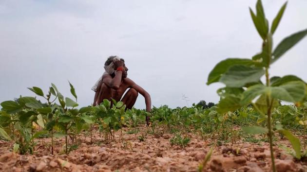 A farmer seen at his newly sown field in Chhatarpur, Madhya Pradesh on July 30. The weather office on July 31 said monsoon rains are expected to be 104% of the average in August and September this year. (ANI)