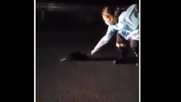 The paramedics discovered it’s a skunk with a cup stuck on its head. (Facebook/Simcoe County Paramedics of OPSEU Local 303) The paramedics discovered it’s a skunk with a cup stuck on its head. (Facebook/Simcoe County Paramedics of OPSEU Local 303)