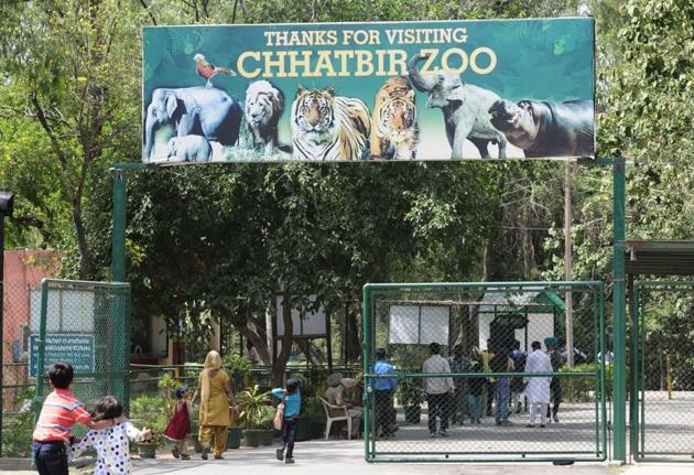 Projects take a backseat as Chhatbir Zoo suffers loss of ₹3.5 crore ...