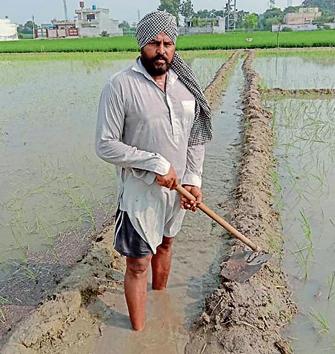 Inderjit Singh Grewal, former PSO, takes to farming to earn a livelihood amid the pandemic in Ludhiana on Friday. (HT PHOTO) Inderjit Singh Grewal, former PSO, takes to farming to earn a livelihood amid the pandemic in Ludhiana on Friday. (HT PHOTO)