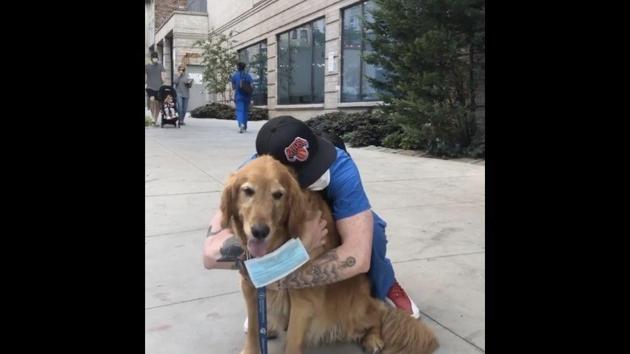 Therapy dog named Buddy Gill is spreading joy across the streets of New ...