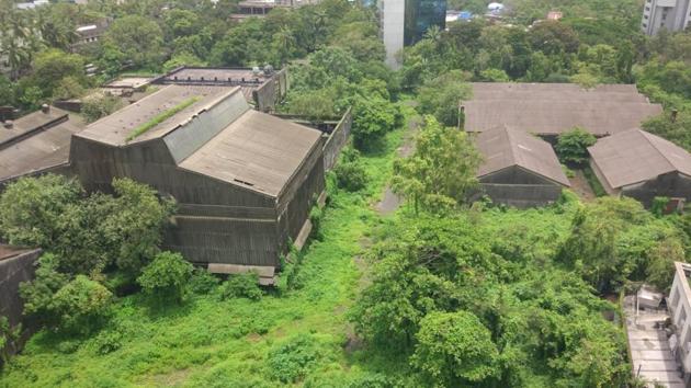 Abanonded factory in Andheri (East) where the leopard could be hiding.(Maharashtra Forest Department)