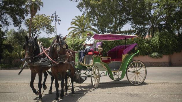 Mohammed El Garbouh, a horse carriage owner, waits for customers in the landmark Jemma el-Fnaa in Marrakech, Morocco, Wednesday, July 22, 2020. Morocco's restrictions to counter the coronavirus pandemic have taken a toll on the carriage horses in the tourist mecca of Marrakech. Some owners struggle to feed them, and an animal protection group says hundreds of Morocco's horses and donkeys face starvation amid the collapsing tourism industry. (AP Photo/Mosa'ab Elshamy)