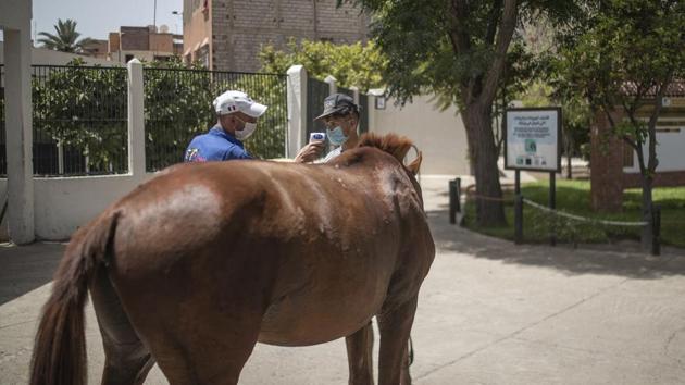 A horse owner has his temperature taken at the headquarters of SPANA shelter for animals, in Marrakech, Morocco, Wednesday, July 22, 2020. (AP Photo/Mosa'ab Elshamy)