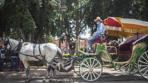 Abdeljalil Belghouate, a horse carriage owner, waits for customers in the landmark Jemma el-Fnaa in Marrakech, Morocco, Wednesday, July 22, 2020. (AP Photo/Mosa'ab Elshamy)
