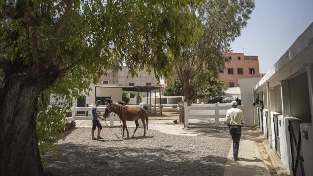 A man holds his sick horse at the SPANA animal shelter in Marrakech, Morocco. (AP Photo/Mosa'ab Elshamy)