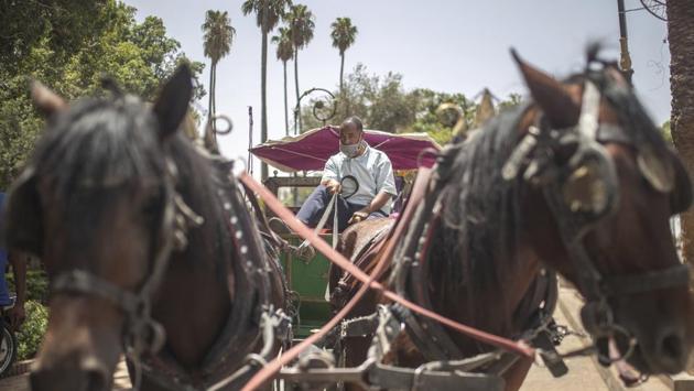 Mohammed El Garbouh, a horse carriage owner, waits for customers in the landmark Jemma el-Fnaa in Marrakech, Morocco. (AP Photo/Mosa'ab Elshamy)