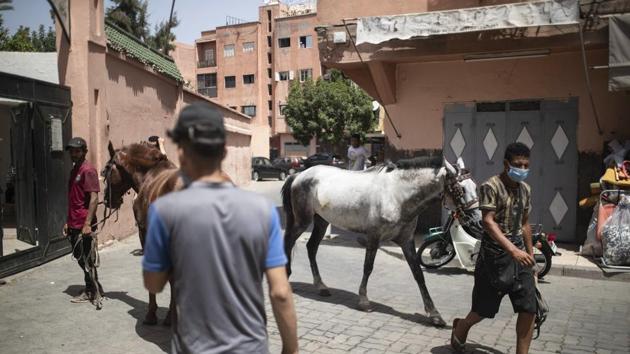 Animal owners gather outside the SPANA shelter to have them inspected, in Marrakech, Morocco. (AP Photo/Mosa'ab Elshamy)