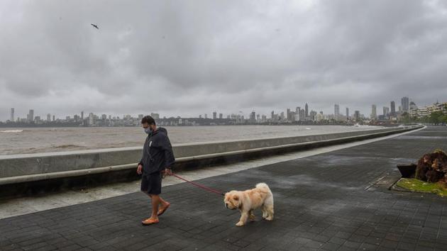 A man walks his dog at Marine Drive promenade in Mumbai on August 6. A record 11,082 patients were also discharged from hospitals on August 8, taking the number of those who have recuperated from the infectious disease so far to 338,362. (Kunal Patil / PTI)