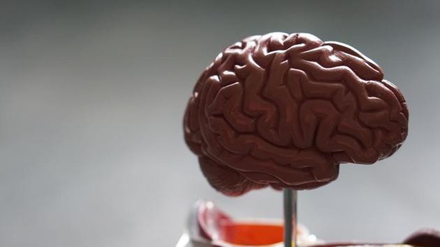 When researchers adjusted for other factors affecting dementia risk, those in the highest group were 35 per cent more likely to develop dementia than those in the lowest group. (Unsplash) When researchers adjusted for other factors affecting dementia risk, those in the highest group were 35 per cent more likely to develop dementia than those in the lowest group. (Unsplash)