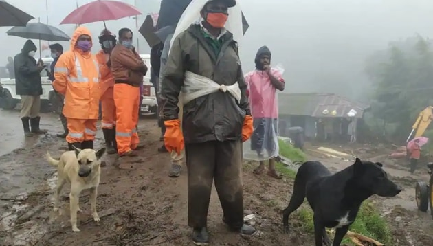 The dogs are seen at the landslide spot in Rajamalai of Kerala’s Idukki district where at least 45 people have died and 28 are still missing (HT Photo)