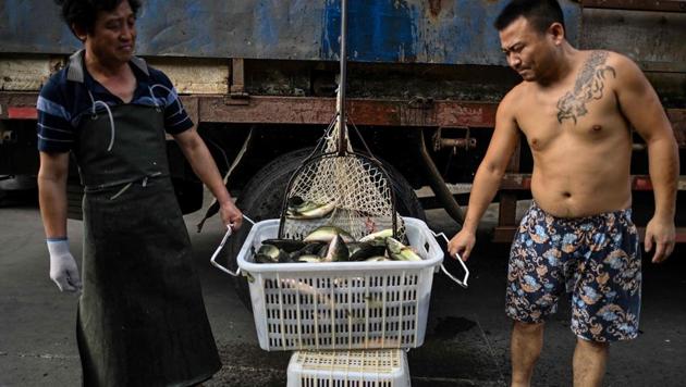The virus was found on the outer packaging of frozen seafood bought by three companies in Yantai, a port city in eastern Shandong province. (AFP photo) The virus was found on the outer packaging of frozen seafood bought by three companies in Yantai, a port city in eastern Shandong province. (AFP photo)