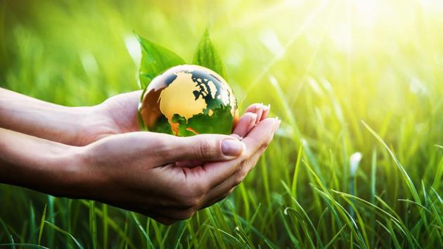 Environmental experts, politicians, and civil society have argued that it neglects the balance between development and environment protection(Shutterstock)