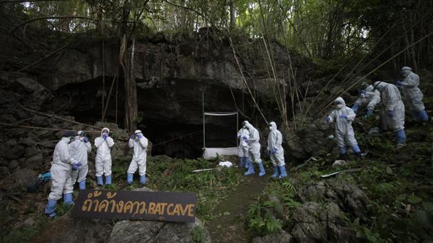 Researchers prepare to enter a bat cave inside Sai Yok National Park in Kanchanaburi province on July 31. Initial research has already pointed to bats as the source of the virus that has afflicted more than 20.5 million people and caused the deaths of over 748,000 worldwide, according to Johns Hopkins University data cited by the Associated Press. (Sakchai Lalit / AP) Researchers prepare to enter a bat cave inside Sai Yok National Park in Kanchanaburi province on July 31. Initial research has already pointed to bats as the source of the virus that has afflicted more than 20.5 million people and caused the deaths of over 748,000 worldwide, according to Johns Hopkins University data cited by the Associated Press. (Sakchai Lalit / AP)