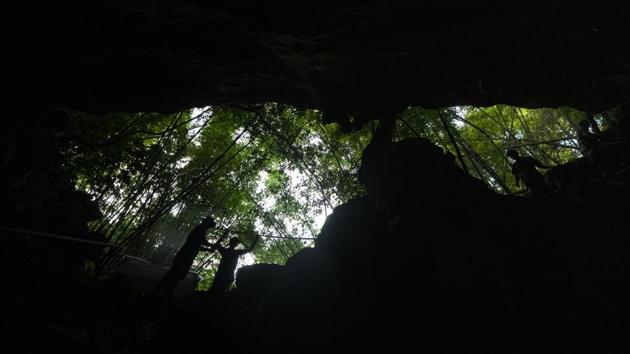 Researchers set up equipment in front of a cave inside Sai Yok National Park on July 31. The team of Thai researchers have been hiking in Sai Yok National Park in the western province of Kanchanaburi to set up nets to trap some 200 bats from three different caves. (Sakchai Lalit / AP) Researchers set up equipment in front of a cave inside Sai Yok National Park on July 31. The team of Thai researchers have been hiking in Sai Yok National Park in the western province of Kanchanaburi to set up nets to trap some 200 bats from three different caves. (Sakchai Lalit / AP)