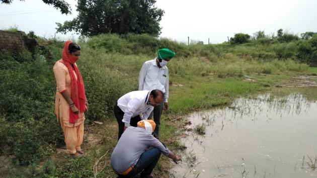 Health department officials releasing Gambusia fish into various water bodies in villages of Boothgarh in Mohali on Friday (HT photo) Health department officials releasing Gambusia fish into various water bodies in villages of Boothgarh in Mohali on Friday (HT photo)