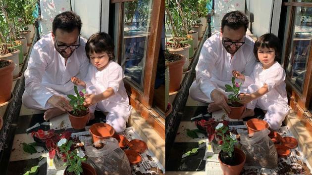 Saif likes to involve Taimur in fun activities at home. He even takes the three-year-old’s help during his gardening session. Saif likes to involve Taimur in fun activities at home. He even takes the three-year-old’s help during his gardening session.