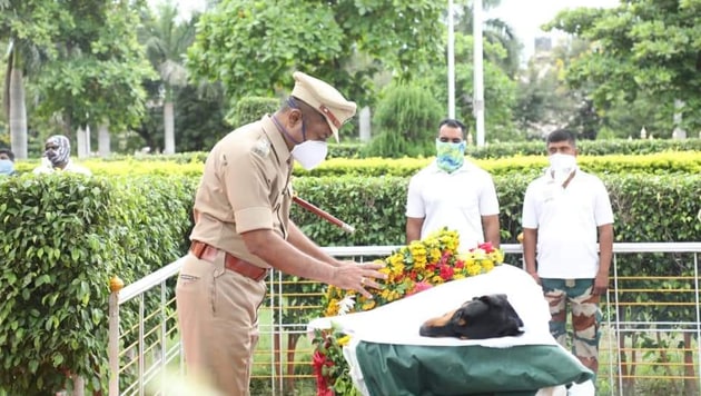Rocky had helped police solve 365 cases(Twitter/@micnewdelhi) Rocky had helped police solve 365 cases(Twitter/@micnewdelhi)