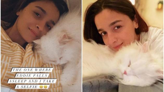 Alia Bhatt has many pet cats, Edward being one of them. Alia Bhatt has many pet cats, Edward being one of them.