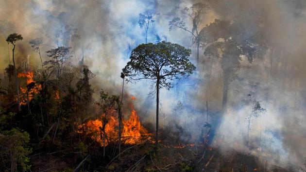 Smoke rises from an illegally lit fire in Amazon rainforest reserve in the State of Para, Brazil on August 15. Residents and firefighters in northwestern Brazil are battling fires that are raging in the Amazon, destroying farmland and threatening their homes. (Carl De Souza / AFP)