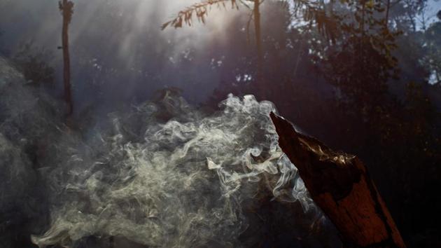 Smoke rises from a smoldering tree in the Amazon rainforest reserve in the State of Para on August 15. According to Brazilian government data, the first 15 days of August have seen about a 17% decrease in the number of fires as this time last year, when a sharp increase in blazes had attracted international condemnation over the alarming deforestation of a region crucial to the fight against global warming. (João Laet / AFP)
