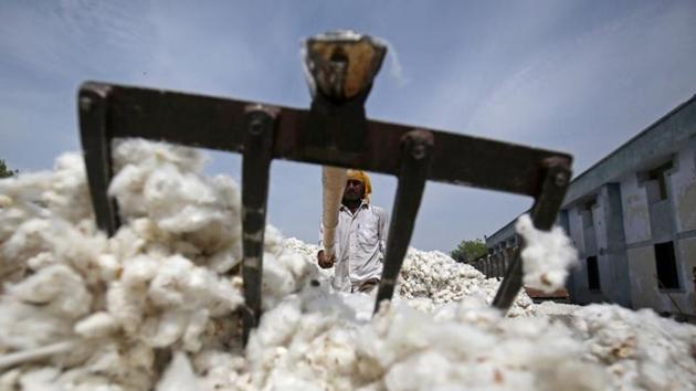 An employee works at a cotton processing unit in Kadi town, in the western Indian state of Gujarat.(REUTERS) An employee works at a cotton processing unit in Kadi town, in the western Indian state of Gujarat.(REUTERS)