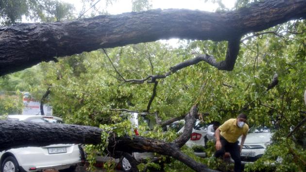 An uprooted tree lies over vehicles parked at the District Magistrate’s office in Ghaziabad on August 19. According to PTI, multiple incidences were recorded of trees being knocked down and parts of buildings collapsing due to rain. (Sakib Ali / HT Photo) An uprooted tree lies over vehicles parked at the District Magistrate’s office in Ghaziabad on August 19. According to PTI, multiple incidences were recorded of trees being knocked down and parts of buildings collapsing due to rain. (Sakib Ali / HT Photo)
