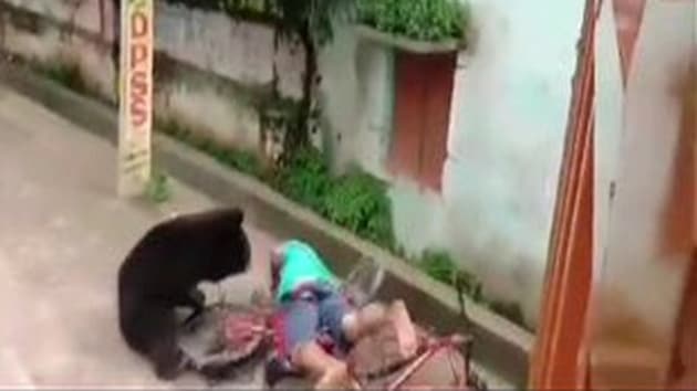 According to the forest officer, the incident has happened for the second time in the area.(ANI)