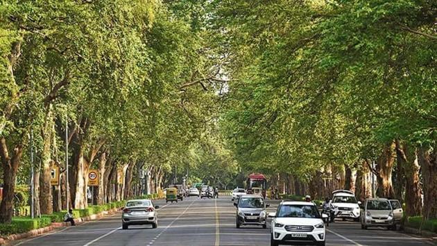 The longest stretch of trees, about 11km, was in north-east Delhi(Ravi Choudhary/ HT file photo) The longest stretch of trees, about 11km, was in north-east Delhi(Ravi Choudhary/ HT file photo)