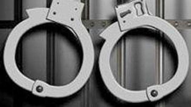 Sawhney allegedly generated gross profits from 2011 to 2016 of approximately $21 million.(HT Archive)