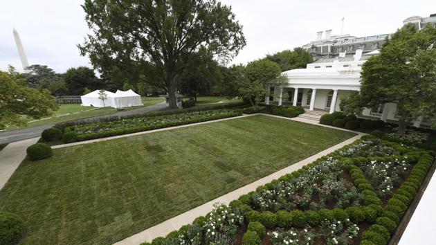 A view of the restored Rose Garden is seen at the White House in Washington, Saturday, Aug. 22, 2020. (AP Photo/Susan Walsh)