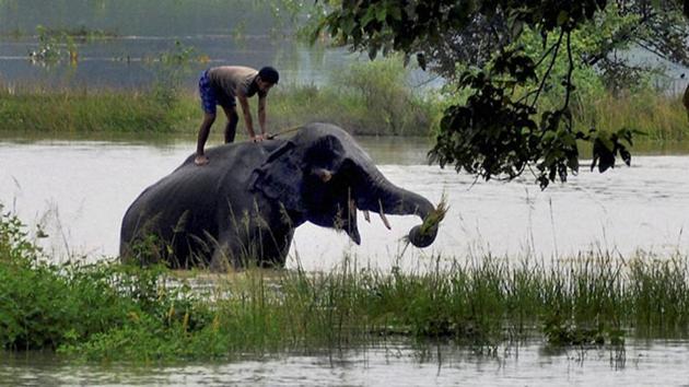 The Union government, on August 5, declared the Bhimashankar Wildlife Sanctuary as an eco-sensitive zone.(PTI (Representative image))