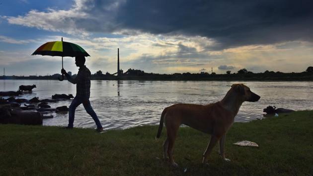 A man with an umbrella walks past a dog near the banks of Yamuna in New Delhi on August 23. The Indian Meterological Department (IMD) has issued a forecast of moderate to heavy rainfall in northwest India in the next 2-3 days because of the northward shifting of the monsoon trough. (Raj K Raj / HT Photo)