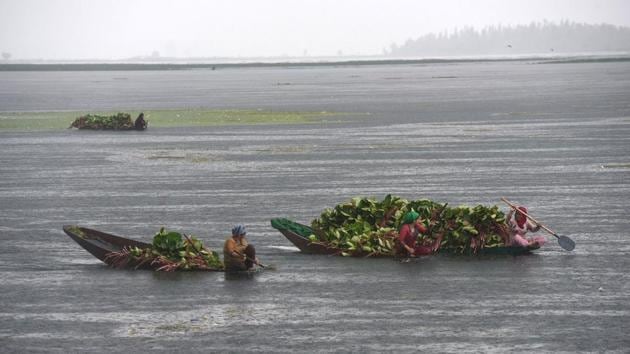 Women row their Shikara at the Dal Lake in Srinagar during a spell of rain on Wednesday.(Waseem Andrabi/HT PHOTO)