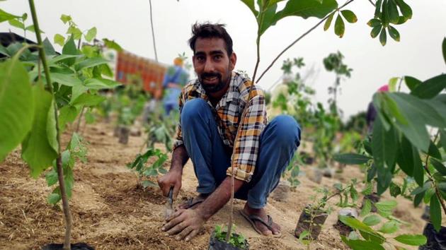 Increasingly, acquiring large stretches of non-forest land is posing a problem for projects that are required to conduct compensatory afforestation against the diversion of forest land.(Photo for representational purpose) Increasingly, acquiring large stretches of non-forest land is posing a problem for projects that are required to conduct compensatory afforestation against the diversion of forest land.(Photo for representational purpose)
