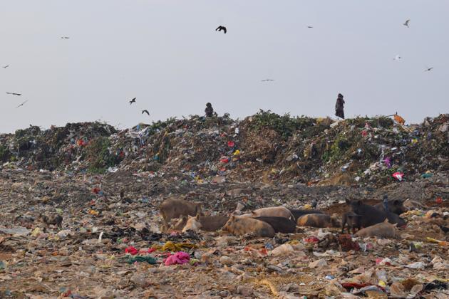 A view of the garbage dump at Sector 38 in Chandigarh.(HT photo)