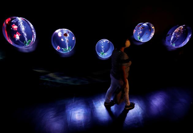 A visitor walks by installations with goldfishes in illuminated water tanks at the Art Aquarium Museum 2020 exhibition, produced by the Japanese Art Aquarium artist Hidetomo Kimura, in Tokyo, Japan August 28, 2020. (REUTERS)