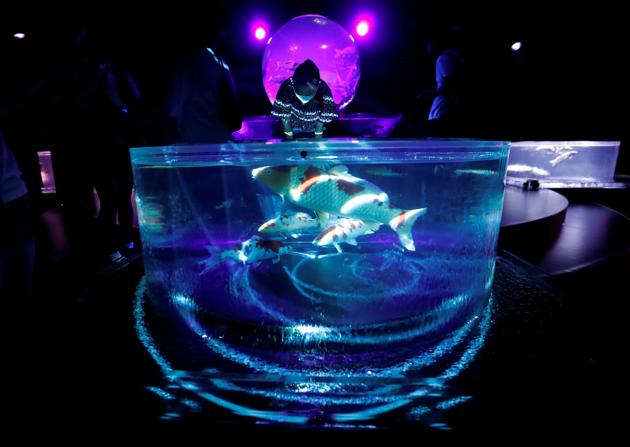 Installations with goldfishes in illuminated water tanks are featured at the Art Aquarium Museum 2020 exhibition, produced by the Japanese Art Aquarium artist Hidetomo Kimura, in Tokyo, Japan August 28, 2020. (REUTERS)