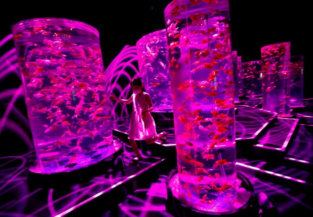 Cylindrical installations with goldfishes in illuminated water tanks featured at the Art Aquarium Museum 2020 exhibition, produced by the Japanese Art Aquarium artist Hidetomo Kimura, in Tokyo, Japan August 28, 2020. (REUTERS)