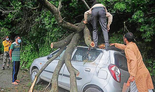 People removing an uprooted tree that fell on a parked vehicle due to heavy rainfall at Totu area in Shimla on Friday.(Deepak Sansta / HT)