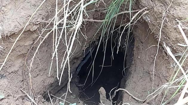 A 20-feet long and three-to-four-feet wide tunnel has been found in the Indian territory near the International Border in the Basantar area of Samba.(HT Photo)